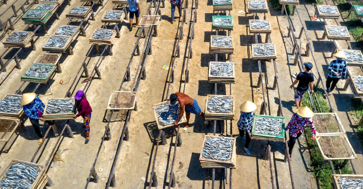 Global Fishing Watch dan Ai2 Perkuat Kemitraan Pelacakan Kap